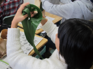 観察した花を花器にいける