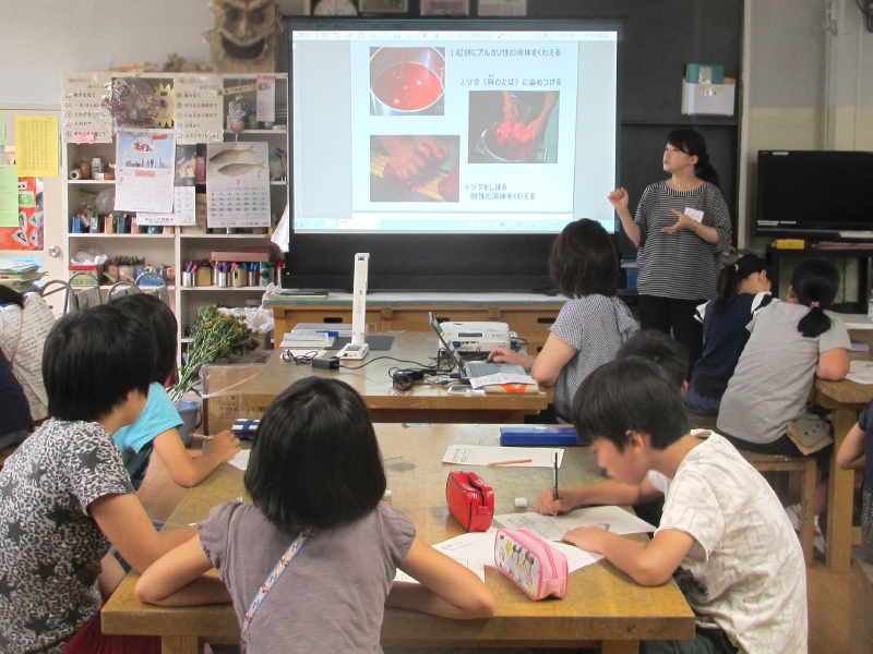 紅の歴史や文化、製造工程を学ぶ